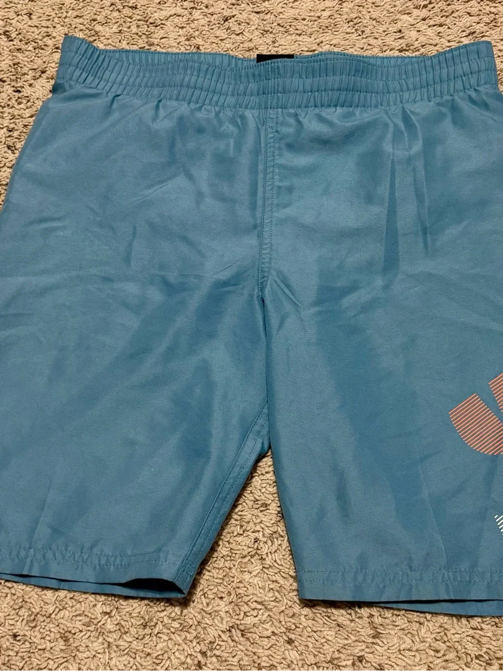 Nike Boys' Light Teal Swim Trunks